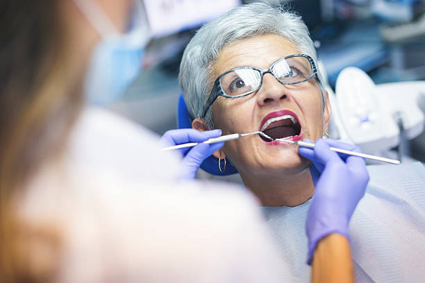 Trusted Chevy Chase Heights, PA Holistic Dental Care Services Experts